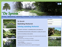 Tablet Screenshot of desprenk.nl